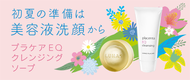 PLACARE EQ SOAP